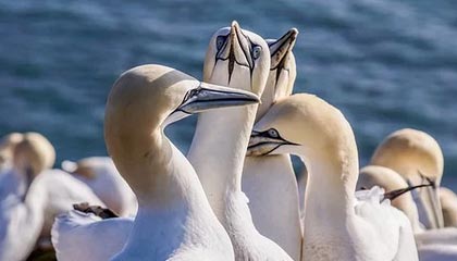 kaiyun中国官方网站-青训基地揭幕：新设施助推联盟未来之星成长，青训中心是干嘛的