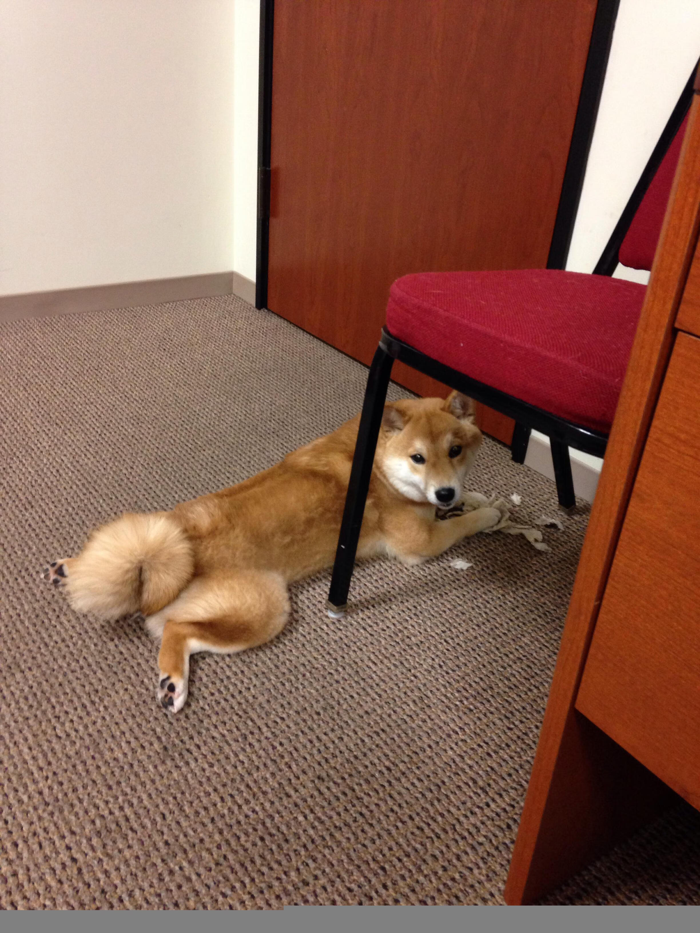 kaiyun网站-足球全国等级考核计划将覆盖百所学校，关于足球考级相关制度