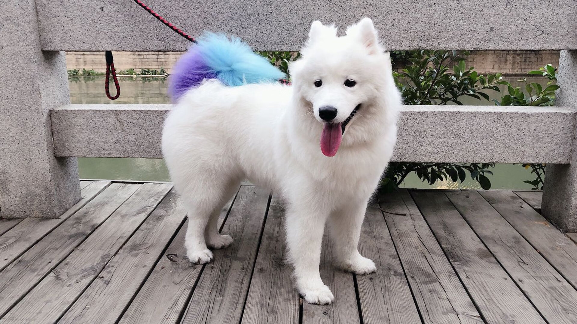 IG战队发布2025赛季训练数据公开报告，ig新赛季