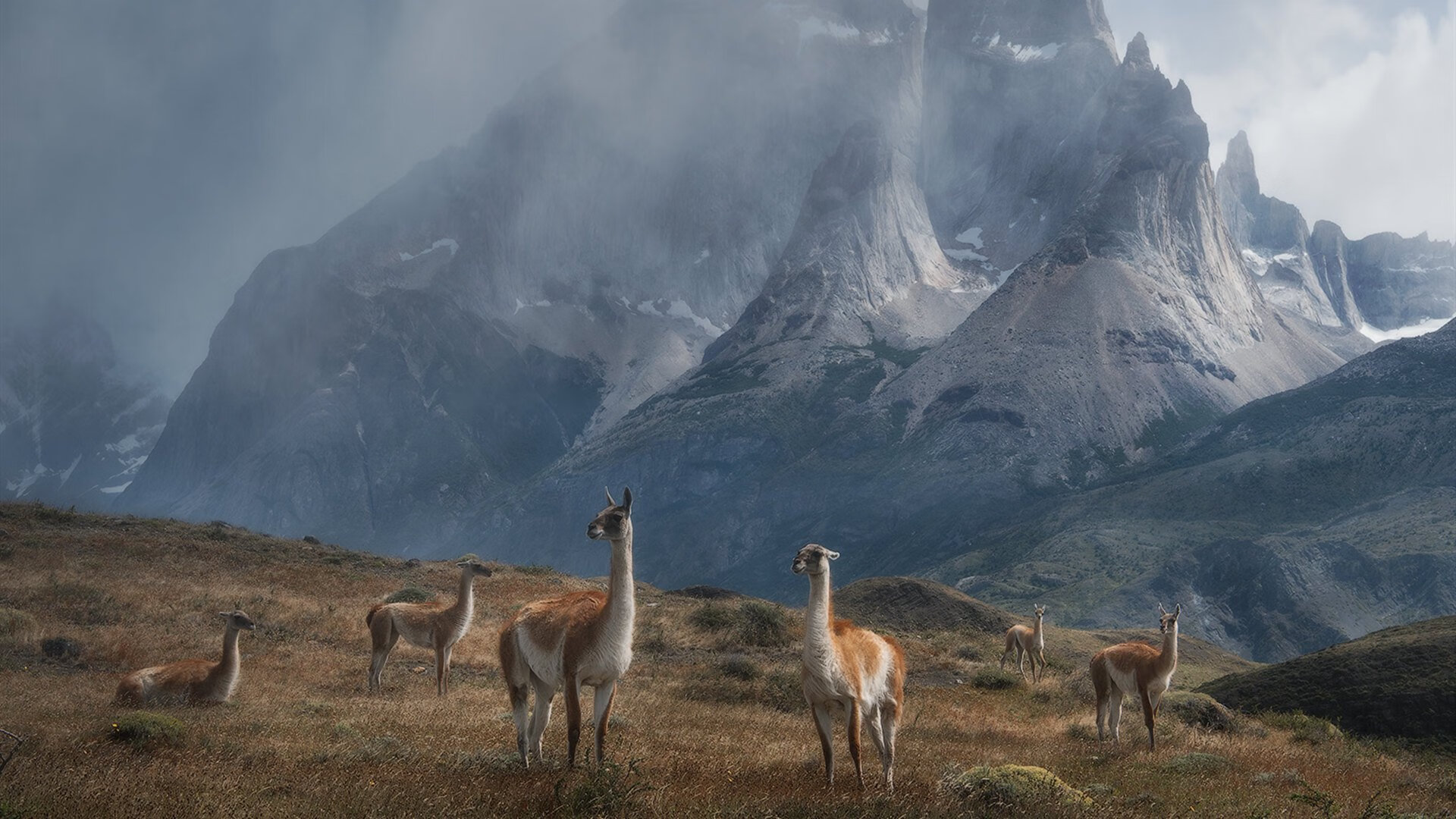 利兹联苦战三小时,惜败对手无缘胜利,利兹联 jd