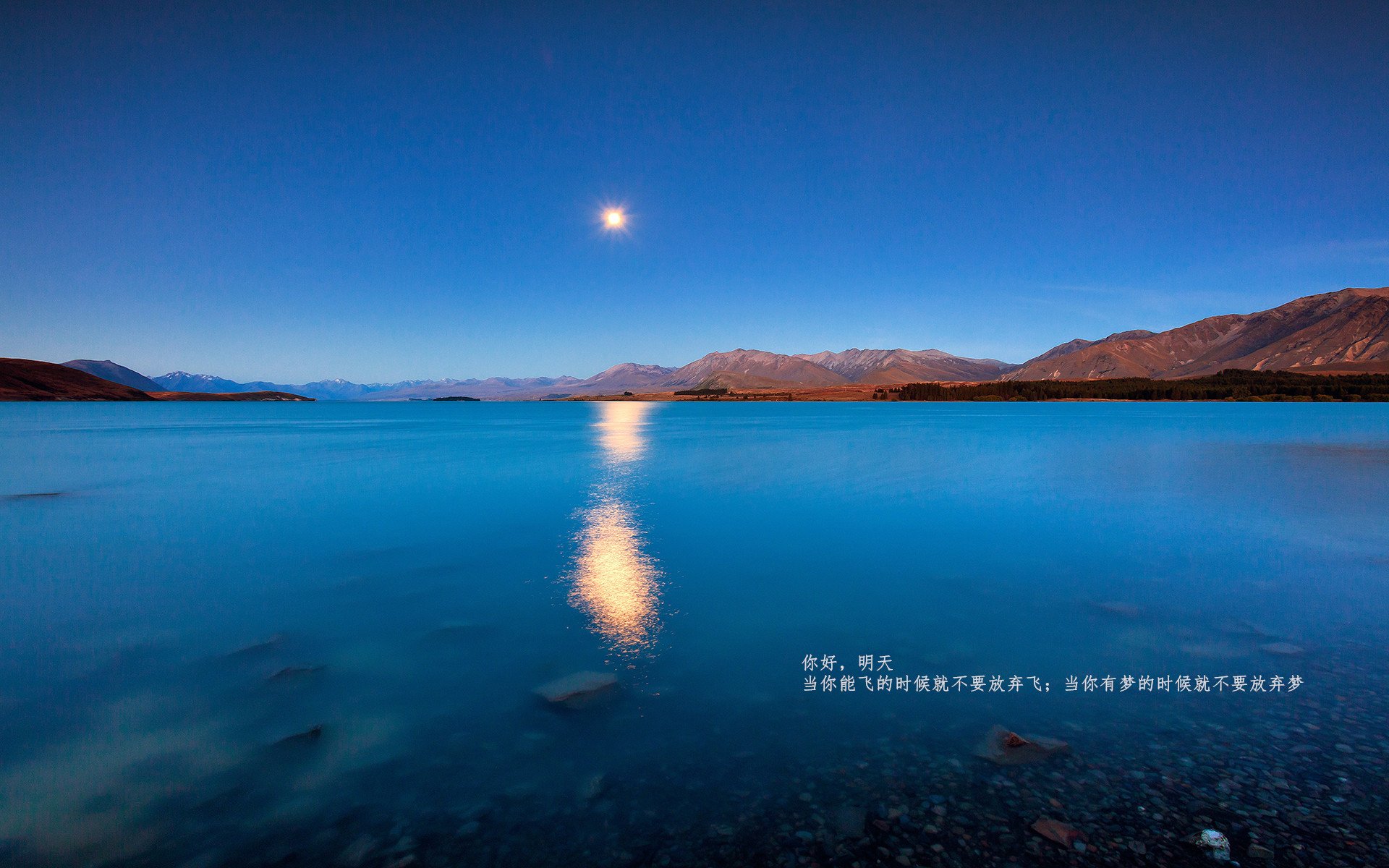 意甲新赛季球队成绩大揭秘，欧冠热门成谜，意甲新赛季前瞻
