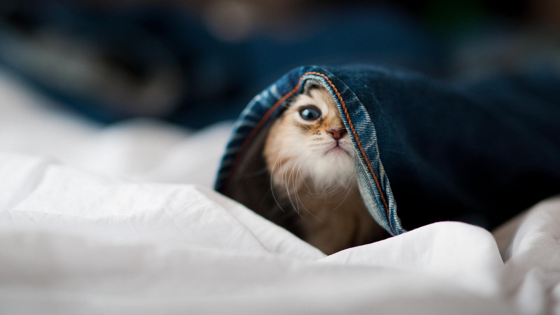 kaiyun.com-皇马遭遇巴黎逆转，遗憾止步欧冠八强，皇马对巴黎次回合