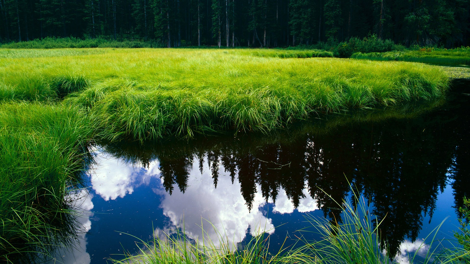 英超豪门曼联惨败，球迷怒批主帅战术，曼联英超第一