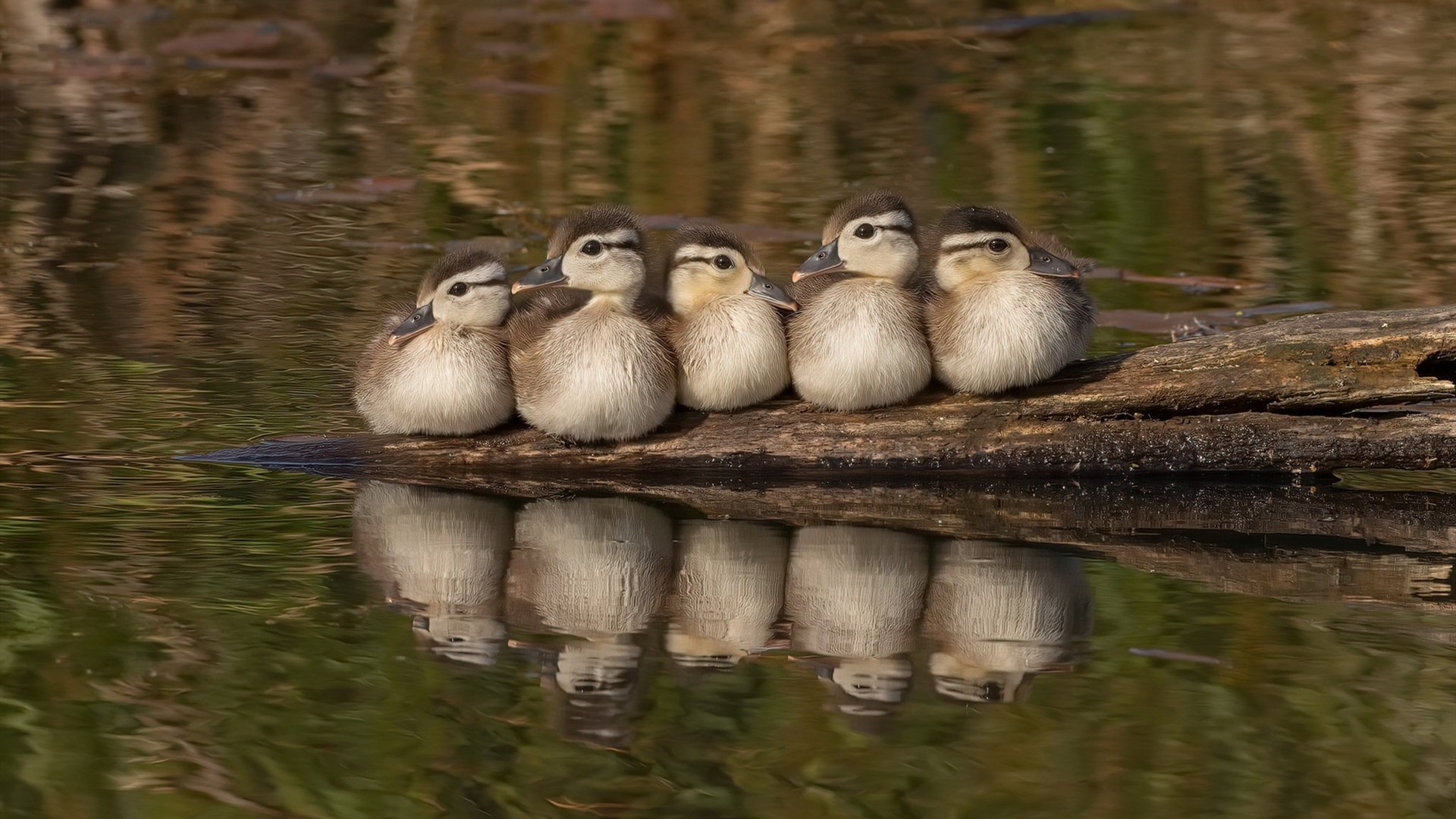 选手个人技术提升显著,提升个人技术水平
