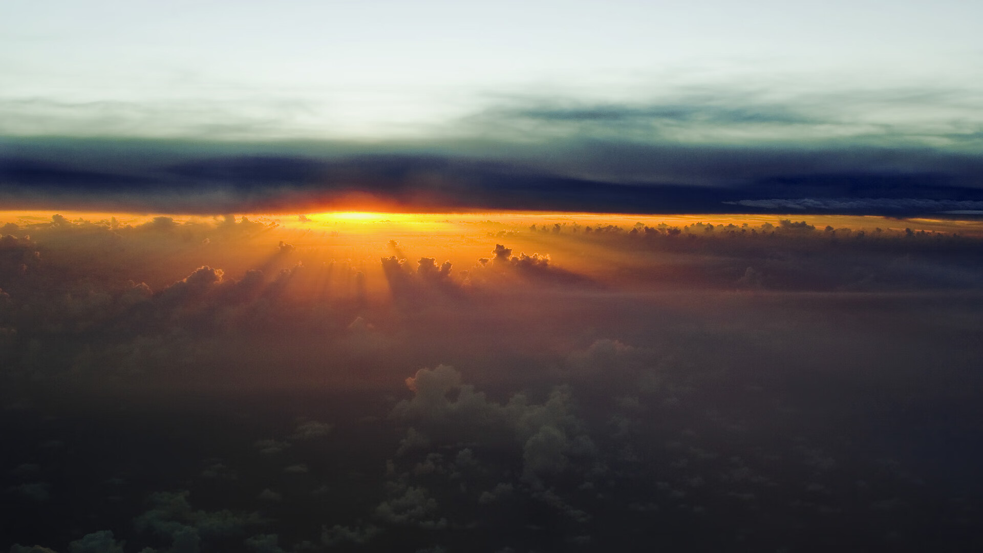 高校体育教学质量保障体系建设,高校体育教学改革