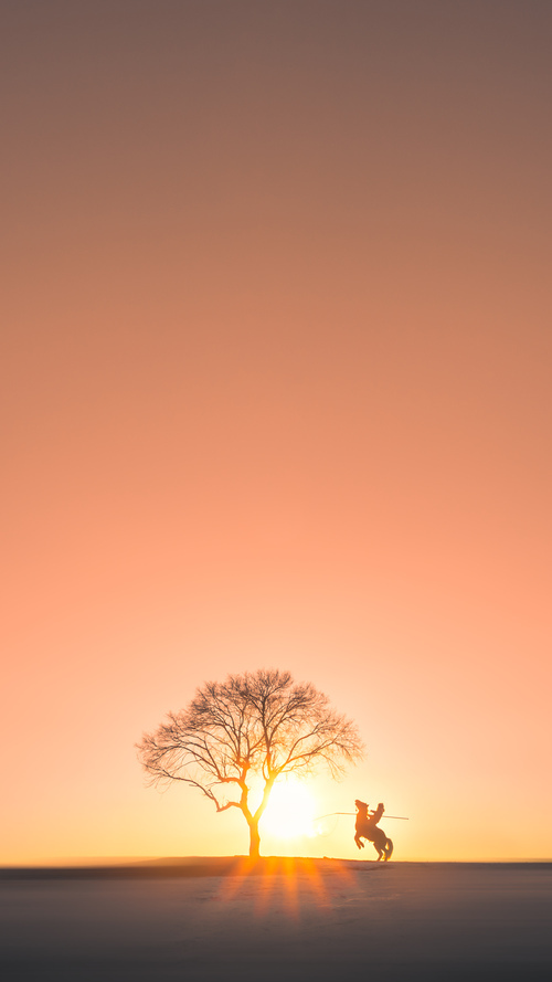 开云体育-全景直播科技推升运动现场沉浸感，开启“云端”观看新体验