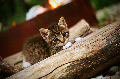 开云网页版登录入口-曼联签下潜力新星计划重点培养，曼联新签约