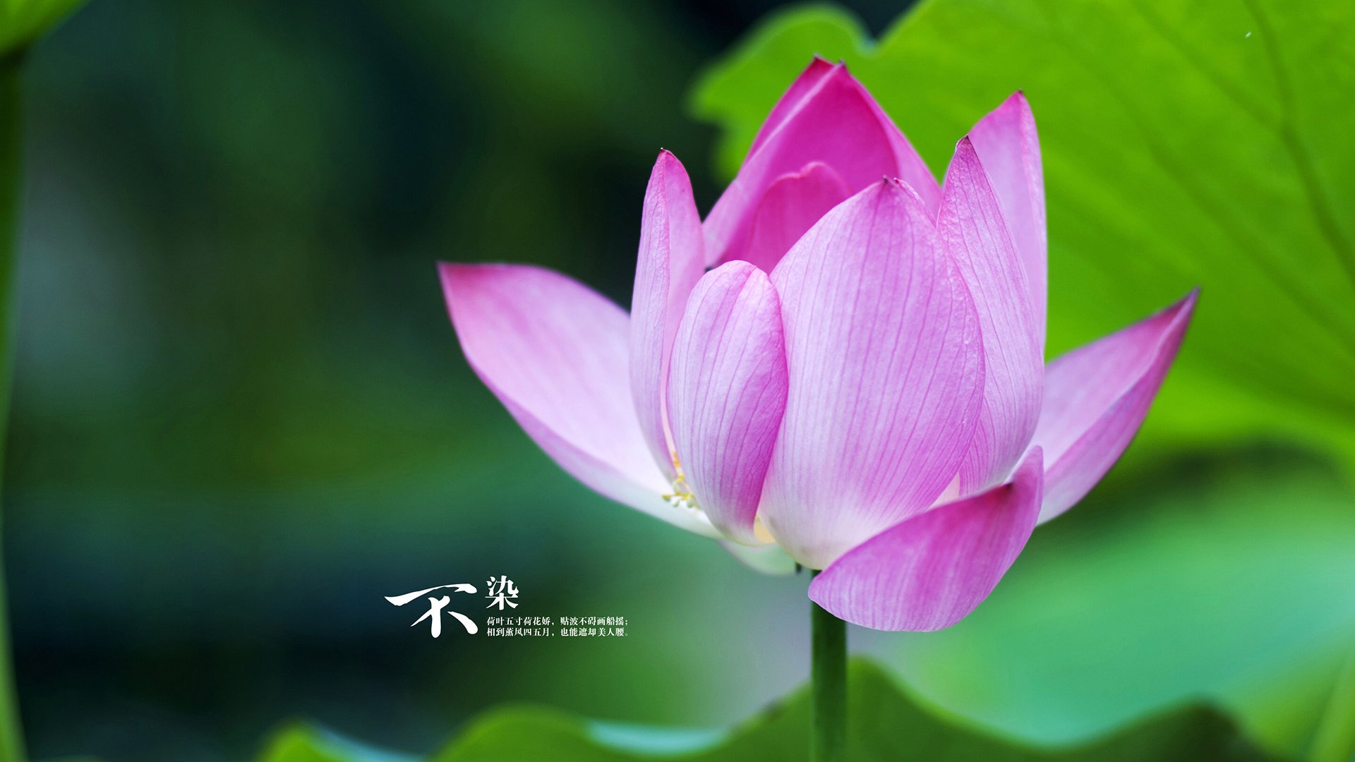 开云官方-男子转型受限 女子频创佳绩