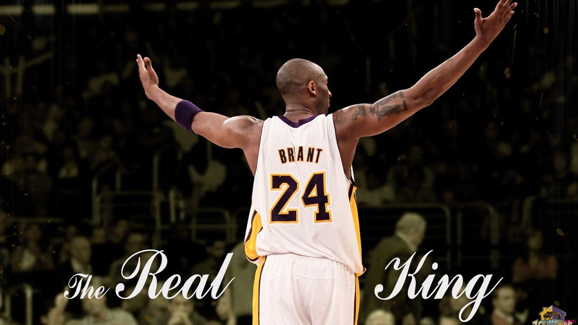 _森林狼战斗精神十足,稳扎稳打_,森林狼kg